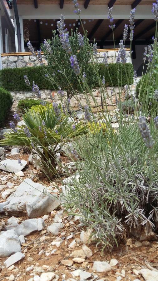 Apartment Behin Martinšćica Εξωτερικό φωτογραφία